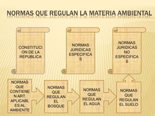 NORMAS QUE REGULAN LA MATERIA AMBIENTAL
 
