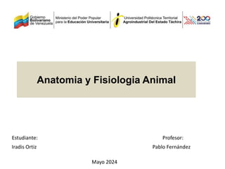 Anatomia y Fisiologia Animal
Estudiante: Profesor:
Iradis Ortiz Pablo Fernández
Mayo 2024
 