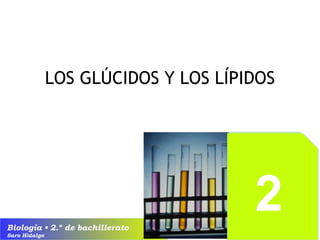 LOS GLÚCIDOS Y LOS LÍPIDOS 
Biología • 2.º de bachillerato 
Saro Hidalgo 
 