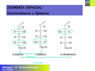 Biología • 2.º de bachillerato
Saro Hidalgo
ISOMERÍA ESPACIAL:
Diastereómeros y Epímeros
D-RIBOSA
EPÍMEROS
D-ARABINOSAL-RIBOSA
EPÍMEROS
 