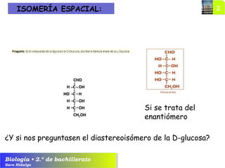 Biología • 2.º de bachillerato
Saro Hidalgo
ISOMERÍA ESPACIAL:
Si se trata del
enantiómero
¿Y si nos preguntasen el diastereoisómero de la D-glucosa?
 