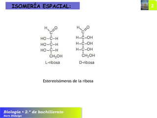 Biología • 2.º de bachillerato
Saro Hidalgo
Estereoisómeros de la ribosa
ISOMERÍA ESPACIAL:
 