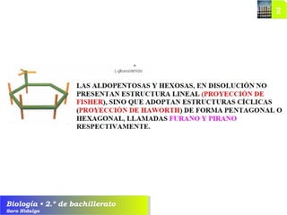 Biología • 2.º de bachillerato
Saro Hidalgo
 