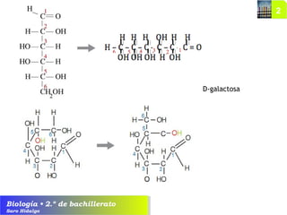 Biología • 2.º de bachillerato
Saro Hidalgo
D-galactosa
 