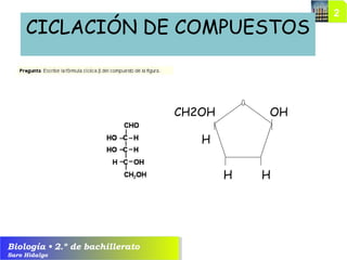 Biología • 2.º de bachillerato
Saro Hidalgo
CICLACIÓN DE COMPUESTOS
OH
HH
H
CH2OH
 