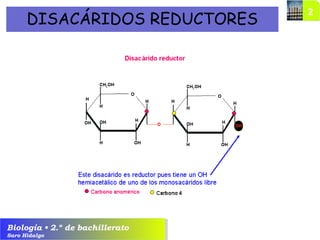 Biología • 2.º de bachillerato
Saro Hidalgo
DISACÁRIDOS REDUCTORES
 