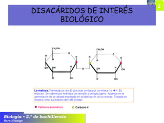 Biología • 2.º de bachillerato
Saro Hidalgo
DISACÁRIDOS DE INTERÉS
BIOLÓGICO
 