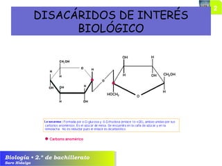 Biología • 2.º de bachillerato
Saro Hidalgo
DISACÁRIDOS DE INTERÉS
BIOLÓGICO
 