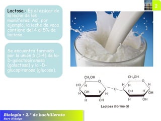 Biología • 2.º de bachillerato
Saro Hidalgo
 