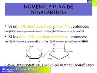 Biología • 2.º de bachillerato
Saro Hidalgo
NOMENCLATURA DE
DISACÁRIDOS
• Si un –OH hemiacetálico y otro NO, entonces:
−α (β)-D-Nmonos.-piranos(furanos)IL(1->?) α (β)-D-Nmonos.piran(furan)-OSA
• Si los dos –OH son hemiacetálicos, entonces:
−α (β)-D-Nmonosac-piranosIL (1->?)α (β)-D Nmonos.piran(furan)-OSIDO
α-D-GLUCOPIRANOSIL (1->2) β-D-FRUCTOFURANÓSIDO
 