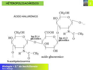 Biología • 2.º de bachillerato
Saro Hidalgo
N-acetilglucosamina
HÉTEROPOLISACÁRIDOS
N-acetilgalactosamina
ÁCIDO HIALURÓNICO
 