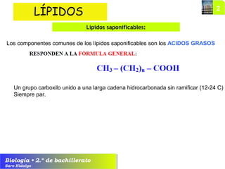 Biología • 2.º de bachillerato
Saro Hidalgo
LÍPIDOS
Lípidos saponificables:
Los componentes comunes de los lípidos saponificables son los ACIDOS GRASOS
Un grupo carboxilo unido a una larga cadena hidrocarbonada sin ramificar (12-24 C)
Siempre par.
 