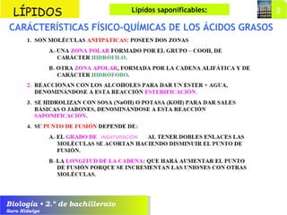 Biología • 2.º de bachillerato
Saro Hidalgo
CARÁCTERÍSTICAS FÍSICO-QUÍMICAS DE LOS ÁCIDOS GRASOS
LÍPIDOS Lípidos saponificables:
INSATURACIÓN
 