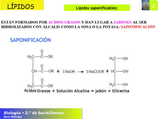 Biología • 2.º de bachillerato
Saro Hidalgo
SAPONIFICACIÓN
LÍPIDOS Lípidos saponificables:
 
