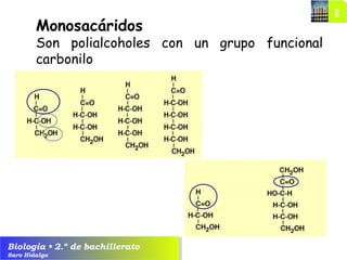 Biología • 2.º de bachillerato
Saro Hidalgo
Monosacáridos
Son polialcoholes con un grupo funcional
carbonilo
 