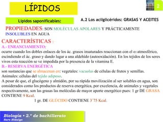 Biología • 2.º de bachillerato
Saro Hidalgo
A.2 Los acilglicéridos: GRASAS Y ACEITES
LÍPIDOS
Lípidos saponificables:
PROPIEDADES: SON MOLÉCULAS APOLARES Y PRÁCTICAMENTE
INSOLUBLES EN AGUA
CARACTERÍSTICAS :
A.- ENRANCIAMIENTO:
ocurre cuando los dobles enlaces de los ác. grasos insaturados reaccionan con el o2 atmosférico,
escindiendo el ác. graso y dando lugar a una aldehído (autooxidación). En los tejidos de los seres
vivos esta reacción se ve impedida por la presencia de la vitamina E.
B.- RESERVA ENERGÉTICA
son sustancias que se almacenan en: vegetales: vacuolas de células de frutos y semillas.
Animales: células del tejido adiposo.
A pesar de que, el glucógeno y almidón, por su rápida movilización al ser solubles en agua, son
considerados como los productos de reserva energética, por excelencia, de animales y vegetales
respectivamente, son las grasas las moléculas de mayor aporte energético pues: 1 gr DE GRASA
CONTIENE 9 Kcal.
1 gr. DE GLÚCIDO CONTIENE 3´75 Kcal.
 