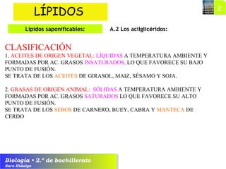Biología • 2.º de bachillerato
Saro Hidalgo
A.2 Los acilglicéridos:
LÍPIDOS
Lípidos saponificables:
CLASIFICACIÓN
1. ACEITES DE ORIGEN VEGETAL: LÍQUIDAS A TEMPERATURA AMBIENTE Y
FORMADAS POR AC. GRASOS INSATURADOS, LO QUE FAVORECE SU BAJO
PUNTO DE FUSIÓN.
SE TRATA DE LOS ACEITES DE GIRASOL, MAIZ, SÉSAMO Y SOJA.
2. GRASAS DE ORIGEN ANIMAL: SÓLIDAS A TEMPERATURA AMBIENTE Y
FORMADAS POR AC. GRASOS SATURADOS LO QUE FAVORECE SU ALTO
PUNTO DE FUSIÓN.
SE TRATA DE LOS SEBOS DE CARNERO, BUEY, CABRA Y MANTECA DE
CERDO
 