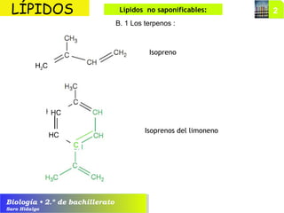 Biología • 2.º de bachillerato
Saro Hidalgo
Isopreno
Isoprenos del limoneno
LÍPIDOS Lípidos no saponificables:
B. 1 Los terpenos :
H2C
HC
HC
C
 