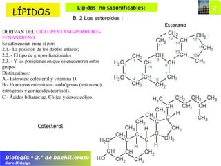Biología • 2.º de bachillerato
Saro Hidalgo
Esterano
Colesterol
LÍPIDOS
Lípidos no saponificables:
B. 2 Los esteroides :
DERIVAN DEL CICLOPENTANO-PERHIDRO-
FENANTRENO.
Se diferencian entre sí por:
2.1.- La posición de los dobles enlaces;
2.2. - El tipo de grupos funcionales
2.3. - Y las posiciones en que se encuentren estos
grupos
Distinguimos:
A.- Esteroles: colesterol y vitamina D.
B.- Hormonas esteroideas: andrógenos (testostero),
estrógenos y corticoides (cortisol).
C.- Ácidos biliares: ac. Cólico y dexoxicolico.
 