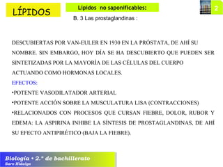 Biología • 2.º de bachillerato
Saro Hidalgo
LÍPIDOS
Lípidos no saponificables:
B. 3 Las prostaglandinas :
DESCUBIERTAS POR VAN-EULER EN 1930 EN LA PRÓSTATA, DE AHÍ SU
NOMBRE. SIN EMBARGO, HOY DÍA SE HA DESCUBIERTO QUE PUEDEN SER
SINTETIZADAS POR LA MAYORÍA DE LAS CÉLULAS DEL CUERPO
ACTUANDO COMO HORMONAS LOCALES.
EFECTOS:
•POTENTE VASODILATADOR ARTERIAL
•POTENTE ACCIÓN SOBRE LA MUSCULATURA LISA (CONTRACCIONES)
•RELACIONADOS CON PROCESOS QUE CURSAN FIEBRE, DOLOR, RUBOR Y
EDEMA: LA ASPIRINA INHIBE LA SÍNTESIS DE PROSTAGLANDINAS, DE AHÍ
SU EFECTO ANTIPIRÉTICO (BAJA LA FIEBRE).
 