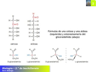 Biología • 2.º de bachillerato
Saro Hidalgo
Fórmulas de una cetosa y una aldosa
(izquierda) y estereoisomería del
gliceraldehído (abajo)
 
