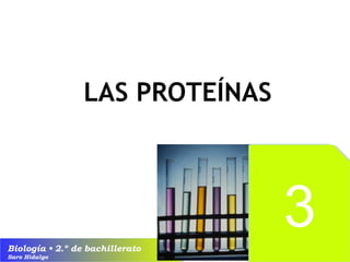 Biología • 2.º de bachillerato
Saro Hidalgo
33
LAS PROTEÍNAS
33
 