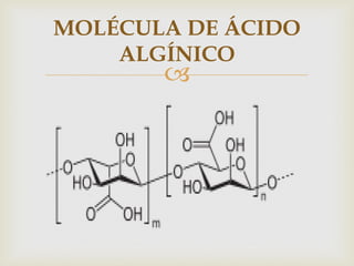 MOLÉCULA DE ÁCIDO
    ALGÍNICO
       
 