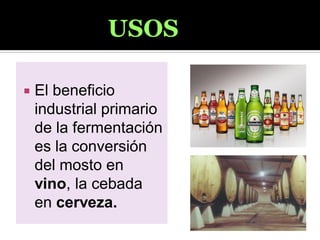  El beneficio
industrial primario
de la fermentación
es la conversión
del mosto en
vino, la cebada
en cerveza.
USOS
 