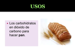  Los carbohidratos
en dióxido de
carbono para
hacer pan.
 