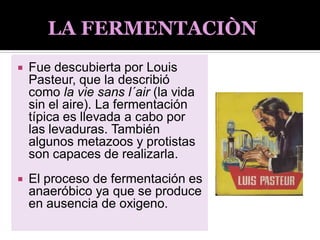  Fue descubierta por Louis
Pasteur, que la describió
como la vie sans l´air (la vida
sin el aire). La fermentación
típica es llevada a cabo por
las levaduras. También
algunos metazoos y protistas
son capaces de realizarla.
 El proceso de fermentación es
anaeróbico ya que se produce
en ausencia de oxigeno.
LA FERMENTACIÒN
 