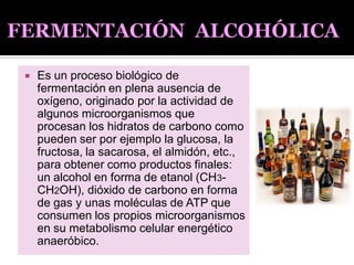  Es un proceso biológico de
fermentación en plena ausencia de
oxígeno, originado por la actividad de
algunos microorganismos que
procesan los hidratos de carbono como
pueden ser por ejemplo la glucosa, la
fructosa, la sacarosa, el almidón, etc.,
para obtener como productos finales:
un alcohol en forma de etanol (CH3-
CH2OH), dióxido de carbono en forma
de gas y unas moléculas de ATP que
consumen los propios microorganismos
en su metabolismo celular energético
anaeróbico.
 