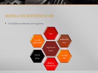 MODELO DE REFERENCIA OSI 
 El nivel físico se relaciona con lo siguiente: 
Físico 
Organización 
Niveles 
enlace de 
datos 
Nivel de 
red 
Nivel de 
transporte 
Nivel de 
aplicación 
Nivel de 
Sesión 
 
