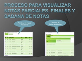 Ventana de Notas     Ventana de
    Parciales      Sabana de Notas
 