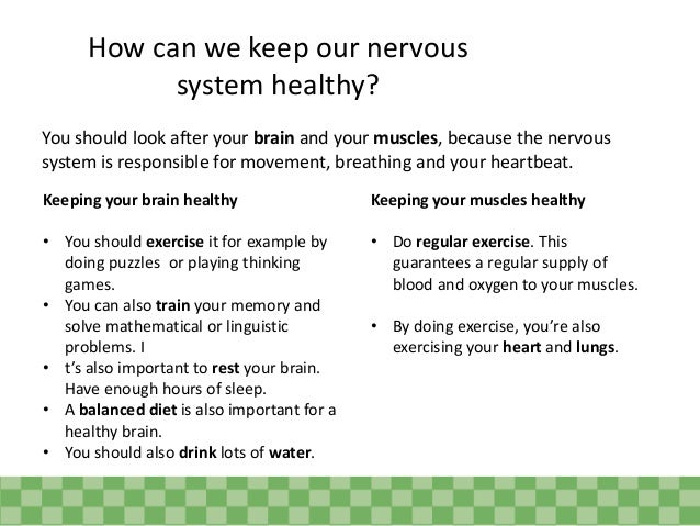 Simple Tips To Keep Your Nervous System Healthy