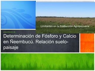 Limitantes en la Producción Agropecuaria
presentación de
Determinación de Fósforo y Calcio
en Ñeembucú. Relación suelo-
paisaje
 