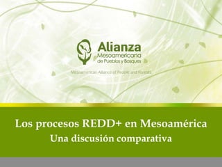Los procesos REDD+ en Mesoamérica
Una discusión comparativa
 
