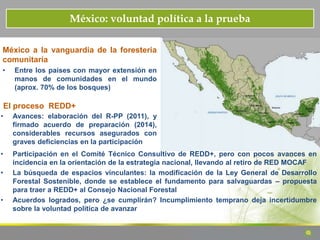 México: voluntad política a la prueba
México a la vanguardia de la foresteria
comunitaria
• Entre los países con mayor extensión en
manos de comunidades en el mundo
(aprox. 70% de los bosques)
• Avances: elaboración del R-PP (2011), y
firmado acuerdo de preparación (2014),
considerables recursos asegurados con
graves deficiencias en la participación
El proceso REDD+
• Participación en el Comité Técnico Consultivo de REDD+, pero con pocos avances en
incidencia en la orientación de la estrategia nacional, llevando al retiro de RED MOCAF
• La búsqueda de espacios vinculantes: la modificación de la Ley General de Desarrollo
Forestal Sostenible, donde se establece el fundamento para salvaguardas – propuesta
para traer a REDD+ al Consejo Nacional Forestal
• Acuerdos logrados, pero ¿se cumplirán? Incumplimiento temprano deja incertidumbre
sobre la voluntad política de avanzar
 