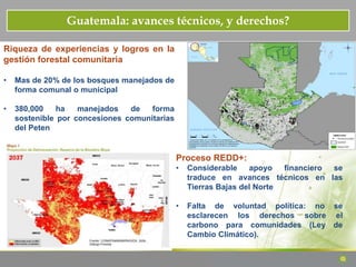 Guatemala: avances técnicos, y derechos?
Riqueza de experiencias y logros en la
gestión forestal comunitaria
• Mas de 20% de los bosques manejados de
forma comunal o municipal
• 380,000 ha manejados de forma
sostenible por concesiones comunitarias
del Peten
Proceso REDD+:
• Considerable apoyo financiero se
traduce en avances técnicos en las
Tierras Bajas del Norte
• Falta de voluntad política: no se
esclarecen los derechos sobre el
carbono para comunidades (Ley de
Cambio Climático).
 