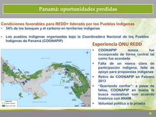Panamá: oportunidades perdidas
Condiciones favorables para REDD+ liderado por los Pueblos Indígenas
• 54% de los bosques y el carbono en territorios indígenas
• Los pueblos indígenas organizados bajo la Coordinadora Nacional de los Pueblos
Indígenas de Panamá (COONAPIP)
Experiencia ONU REDD
 COONAPIP nunca fue
incorporado de forma central tal
como fue acordado
 Falta de un marco claro de
participación indígena, falta de
apoyo para propuestas indígenas
 Retiro de COONAPIP en Febrero
2013
 “Queriendo confiar”: a pesar de
fallas, COONAPIP en buena fe
busca reconstruir con acuerdo
histórico con ANAM
 Voluntad política a la prueba
 