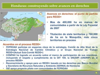Honduras: construyendo sobre avances en derechos
Acuerdos en el proceso REDD+
• FEPROAH participa en espacios clave de la estrategia, Comité de Alto Nivel de la
Estrategia Nacional de Cambio Climático y el Grupo Nacional de Trabajo
REDD+(Actual Sub-Comité REDD+)
• CONPAH ha logrado un acuerdo sobre el marco de participación de sus miembros,
incluyendo el respeto y cumplimiento de la OIT 169, la DNUDPI (UNDRIP) en el
proceso REDD+
• Reconocimiento y apoyo para un REDD+ basado en los derechos por Banco Mundial
y Secretaria de Recursos Naturales y Ambiente (SERNA) de Honduras
• GIZ apoya proyecto piloto con comunidades de FEPROAH
Avances en derechos: el punto de partida
para REDD+
• Mas de 400,000 ha en manos de
comunidades a partir de la Ley Forestal
de 2007
• Titulación de siete territorios y 760,000
de ha en la Mosquitia, mas cinco
territorios en proceso
 