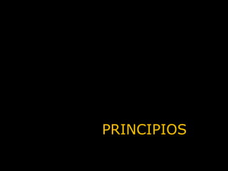 PRINCIPIOS 