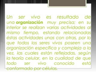 Un ser vivo es resultado de
una organización muy precisa; en su
interior se realizan varias actividades al
mismo tiempo, estando relacionadas
éstas actividades unas con otras, por lo
que todos los seres vivos poseen una
organización específica y compleja a la
vez, las cuales están reflejadas, según
la teoría celular, en la cualidad de que
todo ser vivo conocido está
conformado por células.