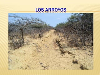 LOS ARROYOS
 
