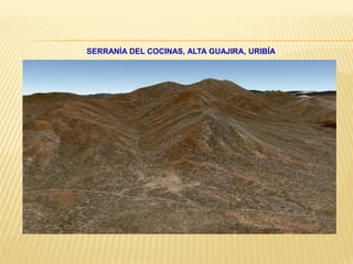 SERRANÍA DEL COCINAS, ALTA GUAJIRA, URIBÍA
 