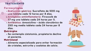 Presentacion urolitiasis .pdf