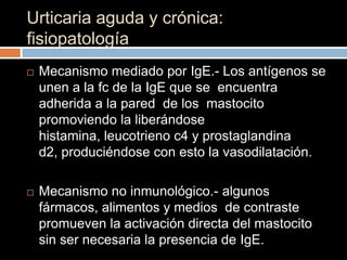 Urticaria aguda y crónica:
fisiopatología
   Mecanismo mediado por IgE.- Los antígenos se
    unen a la fc de la IgE que se encuentra
    adherida a la pared de los mastocito
    promoviendo la liberándose
    histamina, leucotrieno c4 y prostaglandina
    d2, produciéndose con esto la vasodilatación.

   Mecanismo no inmunológico.- algunos
    fármacos, alimentos y medios de contraste
    promueven la activación directa del mastocito
    sin ser necesaria la presencia de IgE.
 