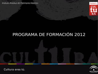 PROGRAMA DE FORMACIÓN 2012 