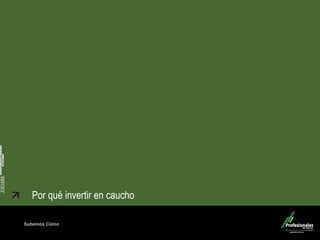Sabemos Cómo
Fondo de Capital Privado – Valor Forestal
Por qué invertir en caucho
 