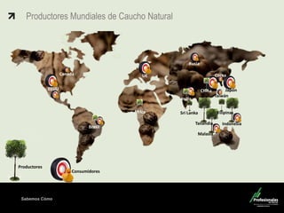Sabemos Cómo
Fondo de Capital Privado – Valor Forestal
Productores Mundiales de Caucho Natural
Brasil
África
India
China
Tailandia
Sri Lanka
Malasia
Indonesia
Filipinas
Corea
Taiwán
Japón
Canadá
EEUU
Productores
UE
Rusia
Consumidores
 