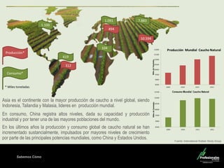 Sabemos Cómo
Producción*
Consumo*
* Miles toneladas
1.100
619
1.091
104
7.883
494
10.594
312
Asia es el continente con la mayor producción de caucho a nivel global, siendo
Indonesia, Tailandia y Malasia, lideres en producción mundial.
En consumo, China registra altos niveles, dada su capacidad y producción
industrial y por tener una de las mayores poblaciones del mundo.
En los últimos años la producción y consumo global de caucho natural se han
incrementado sustancialmente, impulsados por mayores niveles de crecimiento
por parte de las principales potencias mundiales, como China y Estados Unidos.
Fuente: International Rubber Study Group
 